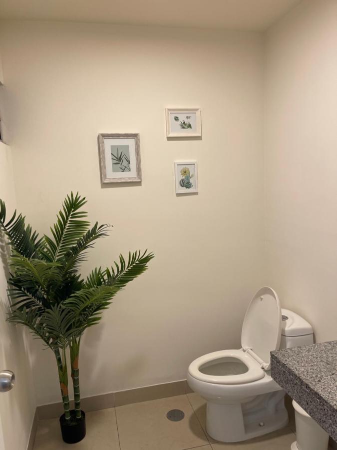 Book In Miraflores -